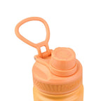 AquaFlask Dream 4 – Isolierte Edelstahlflasche